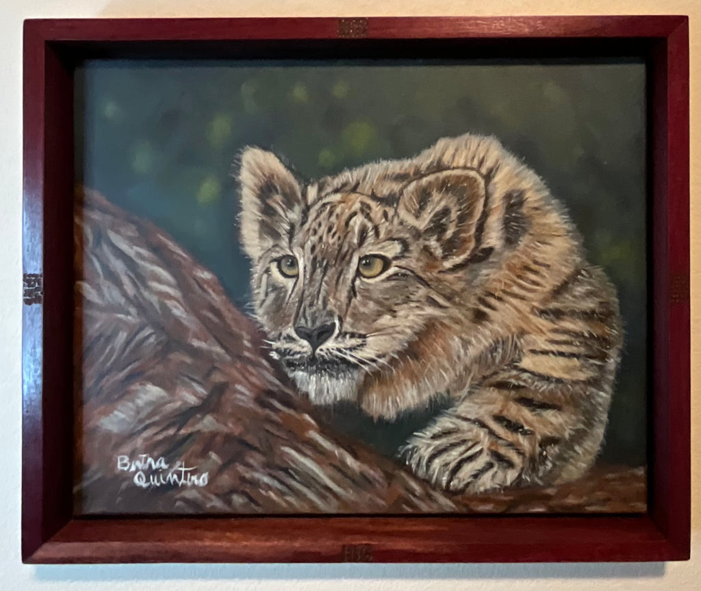 Himalayan Snow Leopard — 22 x 18 x 2 | Purple Heart Frame