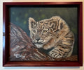 Himalayan Snow Leopard — 22 x 18 x 2 | Purple Heart Frame