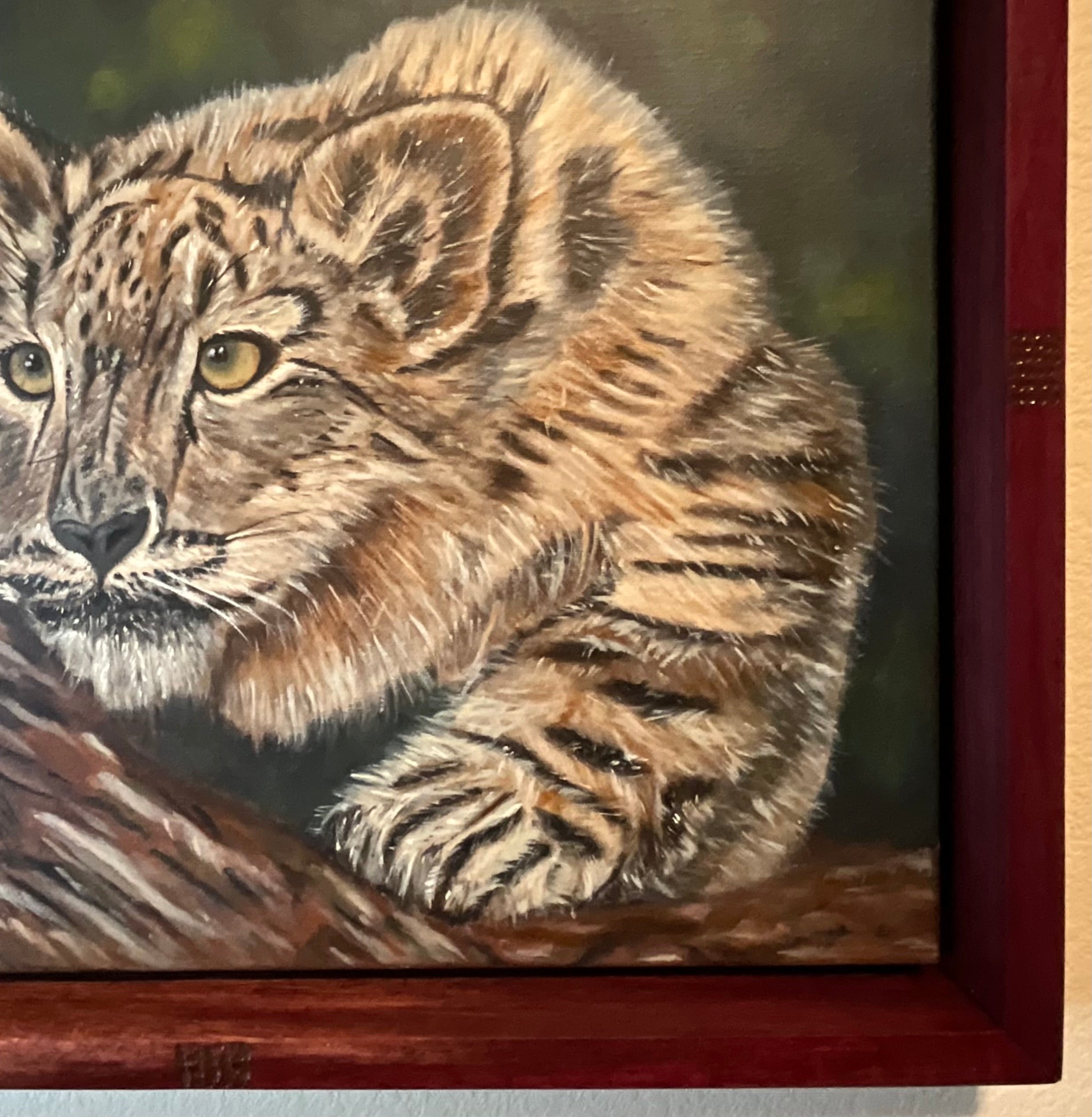 Himalayan Snow Leopard — 22 x 18 x 2 | Purple Heart Frame