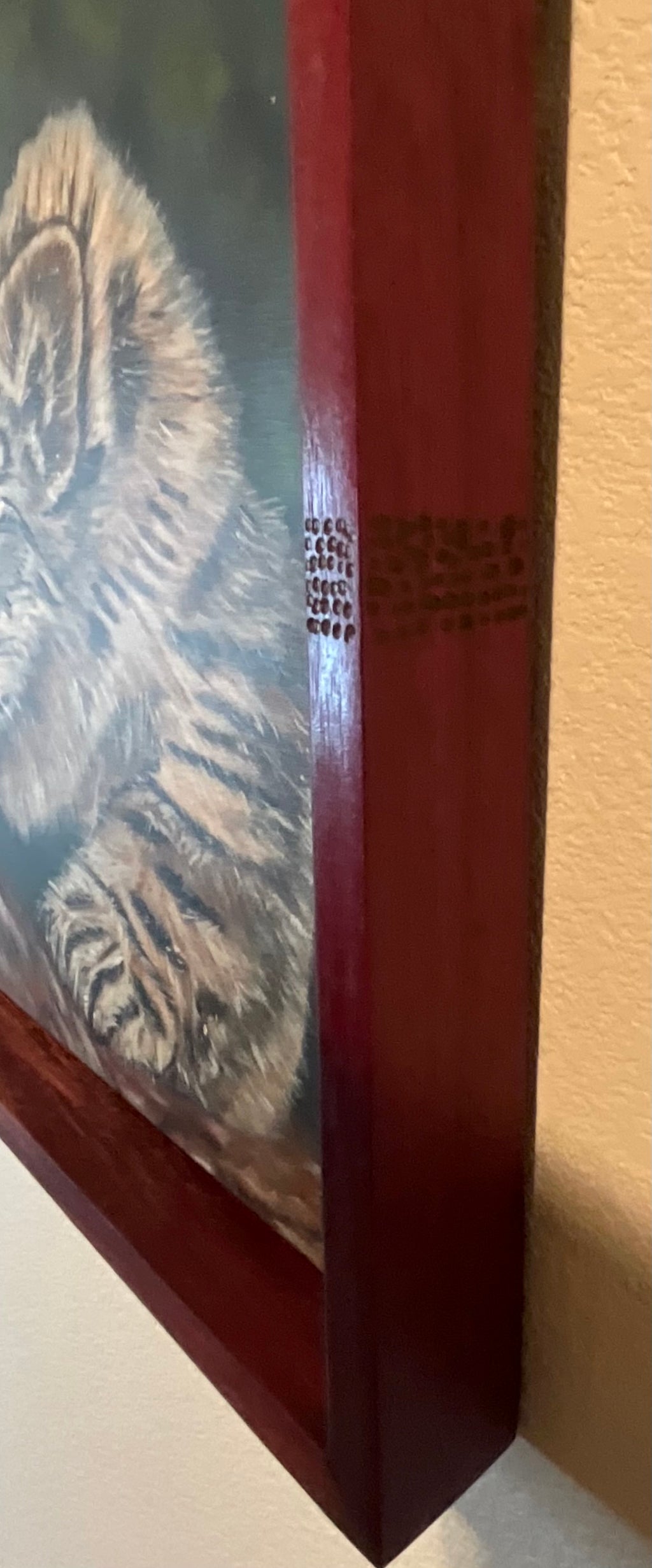 Himalayan Snow Leopard — 22 x 18 x 2 | Purple Heart Frame